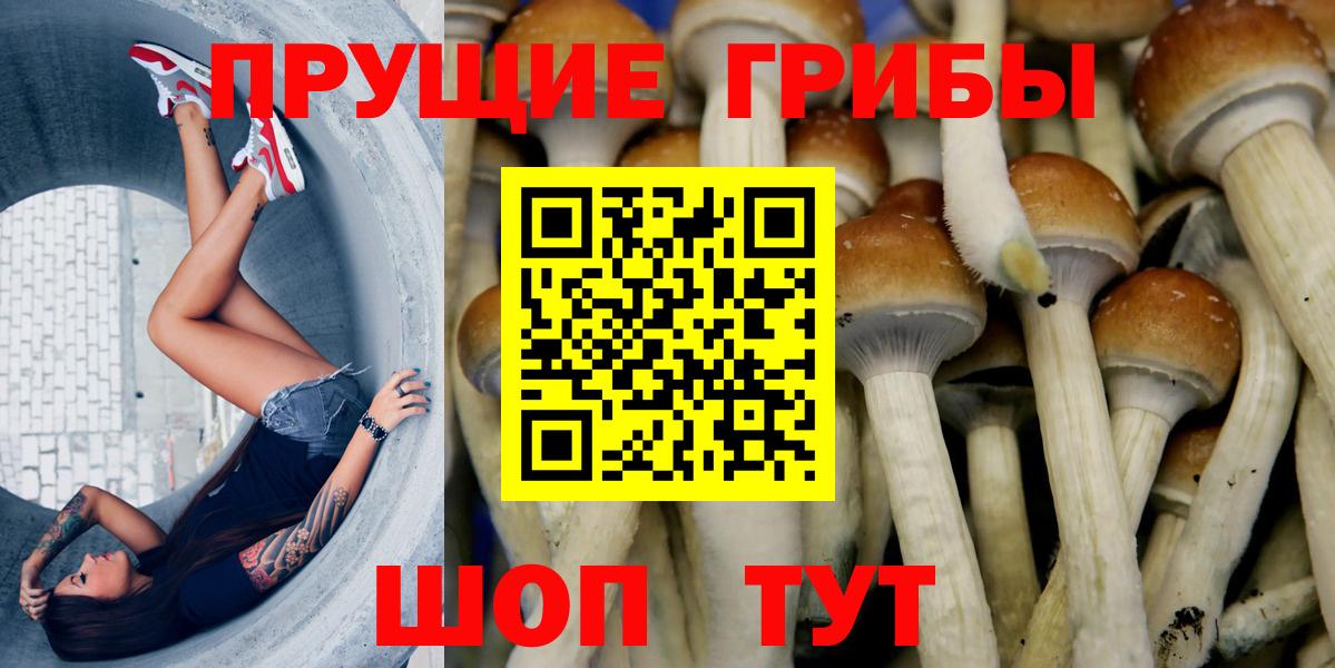 Псилоцибиновые грибы Magic Shrooms  Вход с VPN  Йошкар-Ола 