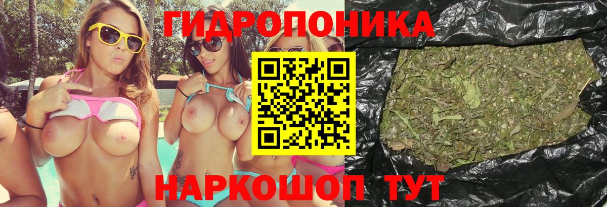 Каннабис ГИДРОПОН Йошкар-Ола